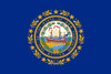 New Hampshire State Flag