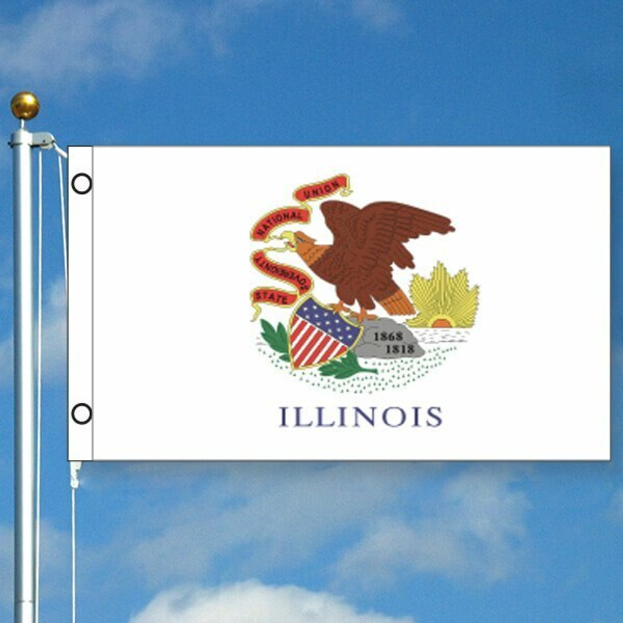 Illinois State Flag