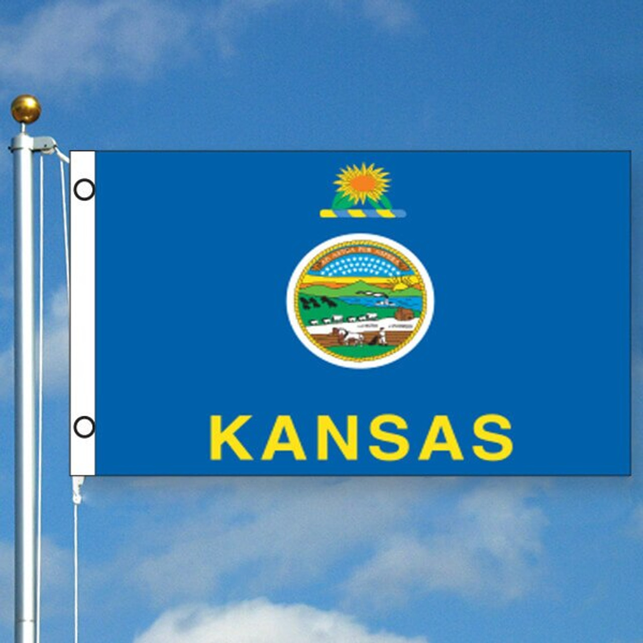 Kansas State Flag