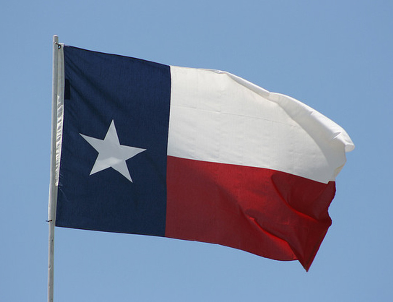 Texas State Flag