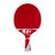 Tiger PingPong Aqua Outdoor Paddle