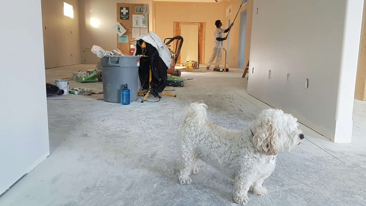 Finished Basement Ideas You’ll Love: From Home Gyms to Luxury Game Rooms