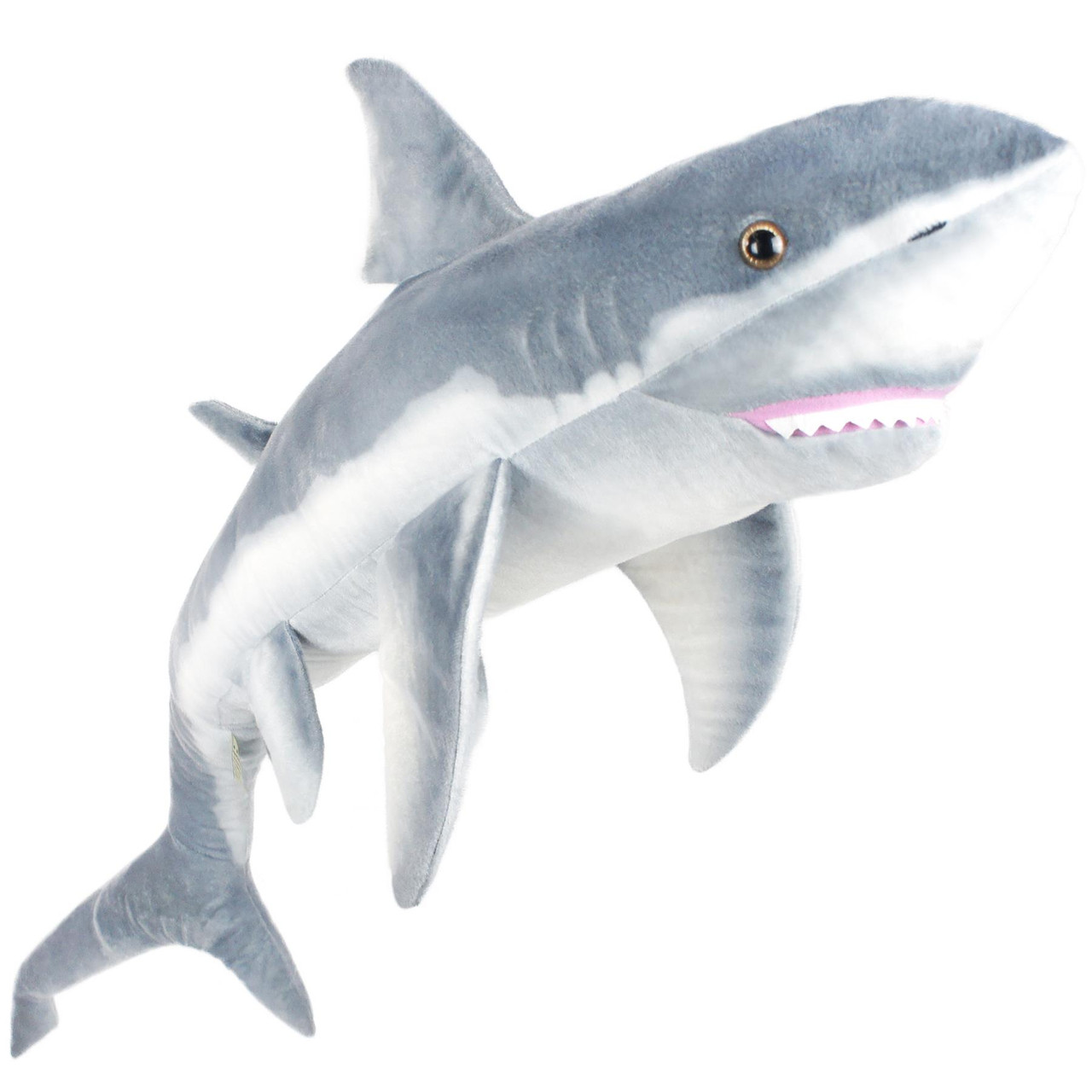 shark & co toys