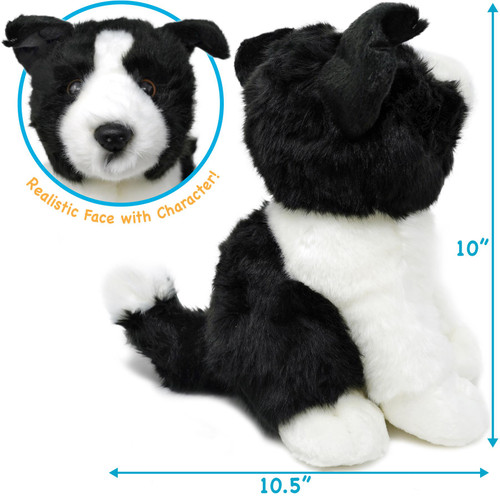 VIAHART Borna The Border Collie | 11 inch Stuffed Animal Plush | by Tiger Tale Toys