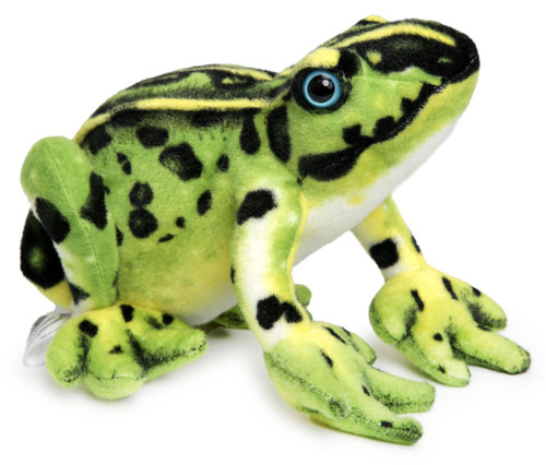 poison dart frog plush