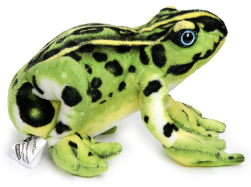 Frisco the Frog, 10 Inch Poison Dart Tree Toad Stuffed Animal Plush