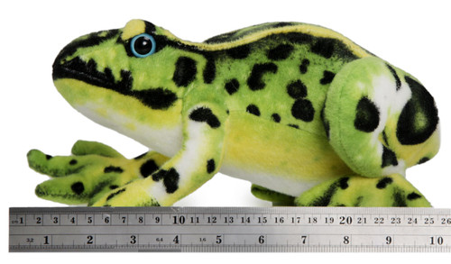 Frisco The Frog - 10 inch Poison Dart Tree Toad Stuffed Animal Plush - by Tiger Tale Toys