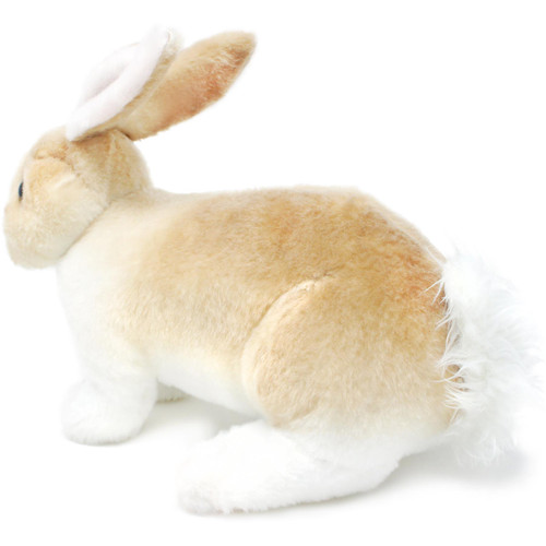 stuffed bunnies that look real