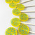 natural lollipops, organic lollipops, vegan lollipops, party favors, party lollipops, wedding favors, lollipop bouquet, edible bouquet, flower lollipops, lollipop gifts, gift box, candy gift box, lollipop box, girl party lollipops, kids lollipops, fruit lollipops, birthday lollipops, birthday party lollipops, circus theme lollipops
