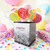 natural lollipops, organic lollipops, vegan lollipops, party favors, party lollipops, wedding favors, lollipop bouquet, edible bouquet, flower lollipops, lollipop gifts, gift box, candy gift box, lollipop box, girl party lollipops, kids lollipops, fruit lollipops, birthday lollipops, birthday party lollipops, circus theme lollipops
