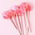 handcrafted vegan and plant-based lollipops for party favors, celebration treats and special gifts