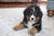 Murphy