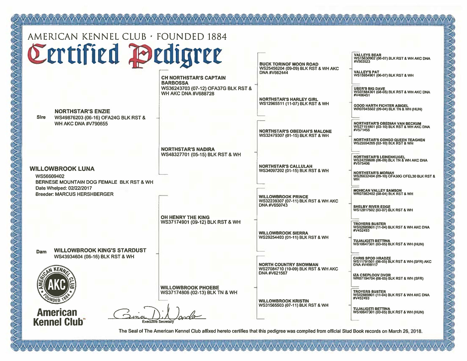 pedigree certificate