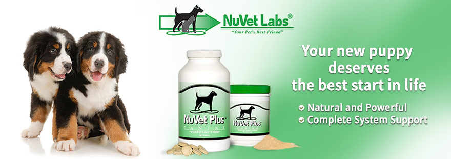 NuVet for Puppy Health and Development