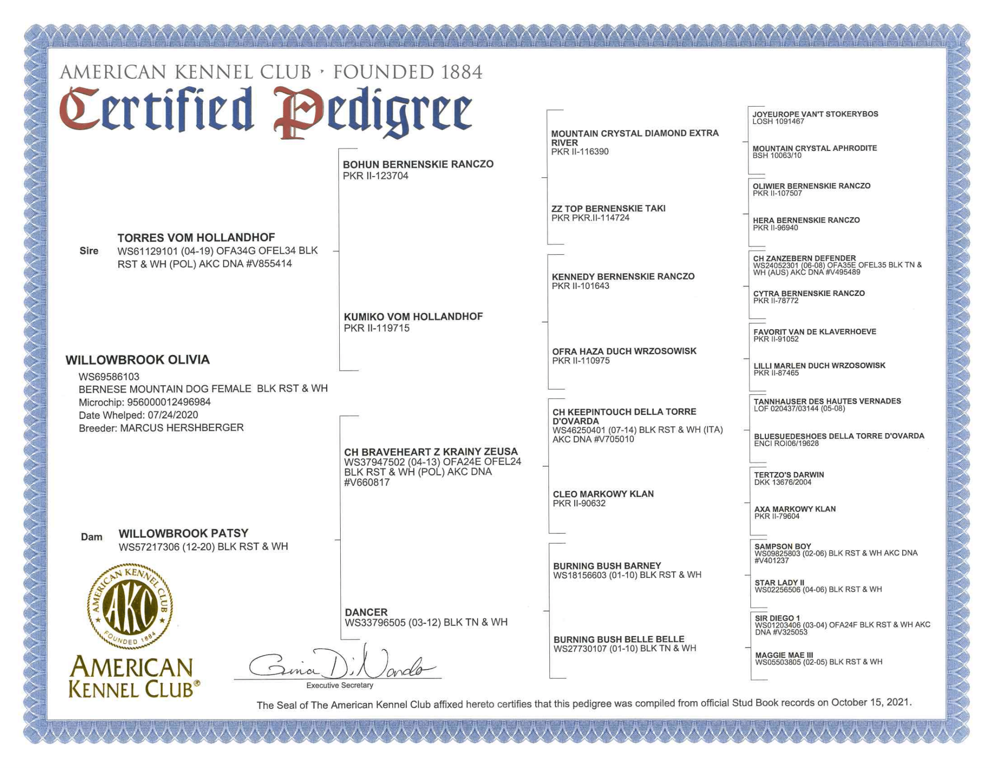 pedigree certificate