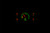 RTX-57F-PU-X Emerald Theme at Night