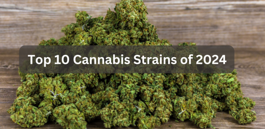 Top Cannabis Strains of 2024 - 10 to Talk About