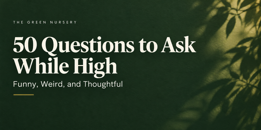 50 Questions to Ask While High: Funny to Thoughtful