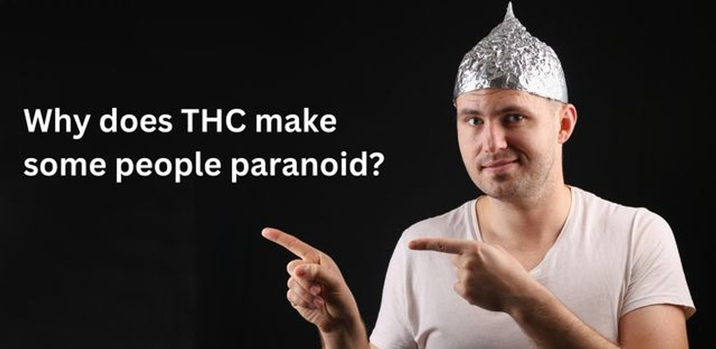 Why Does THC Cause Paranoia?