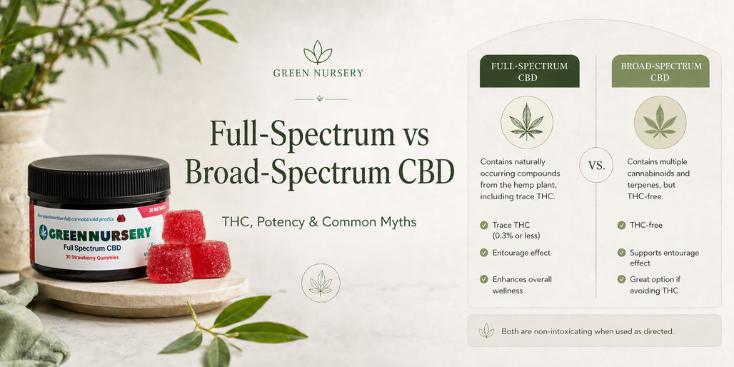 Full-Spectrum vs Broad-Spectrum CBD: THC Content, Potency, and Common Myths