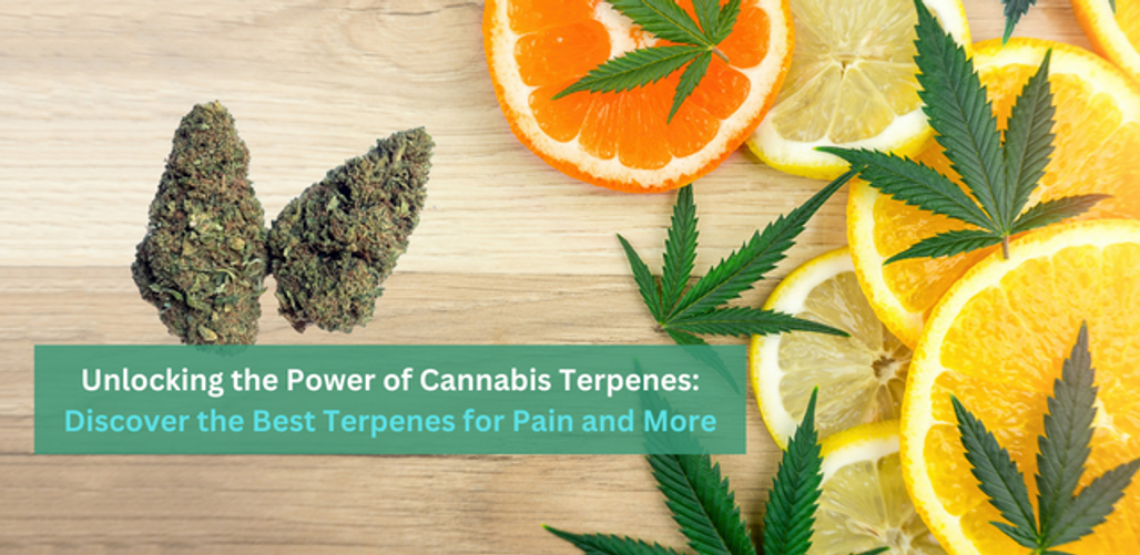 Unlocking the Power of Cannabis Terpenes: Discover the Best Terpenes for Discomfort and More