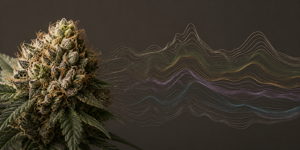 Cannabis Terpene Chart: Aromas, Profiles & Evidence