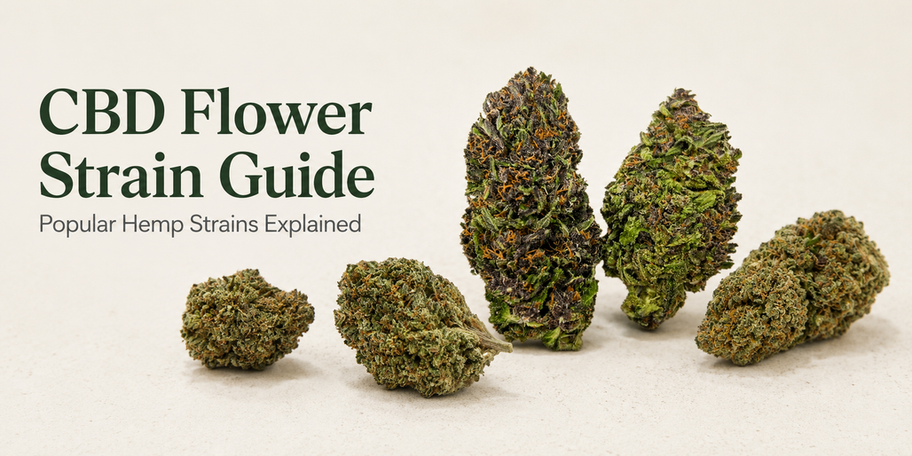 CBD Flower Strain Guide: Popular Hemp Strains Explained