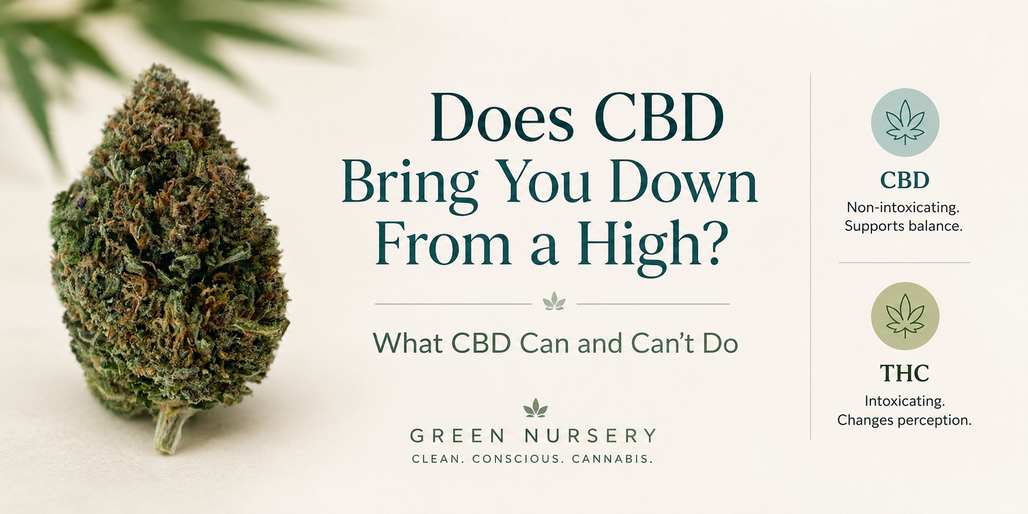 Does CBD Bring You Down From a High? What CBD Can and Can’t Do