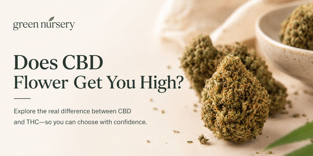 Does CBD Flower Get You High? CBD Flower, THC, and Hemp Potency Explained