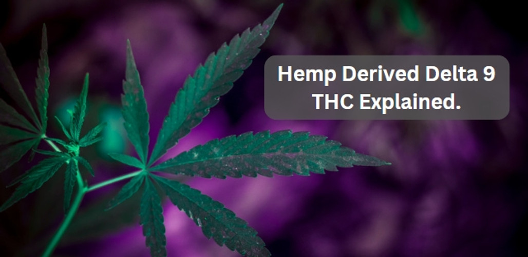 Understanding Hemp Derived Delta 9: Your Comprehensive Guide