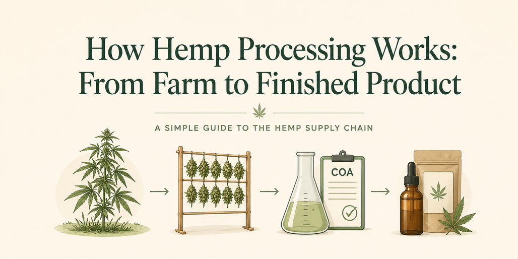 How Hemp Processing Works: From Farm to Finished Product