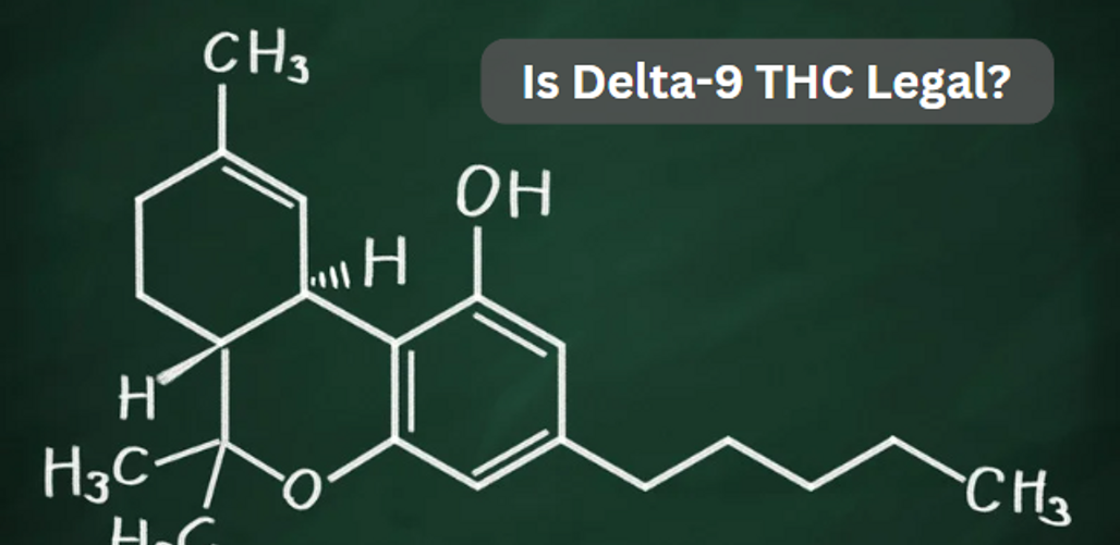 Is Delta-9 THC Legal?  Understanding the Legal Status of Hemp-Derived Delta-9 THC