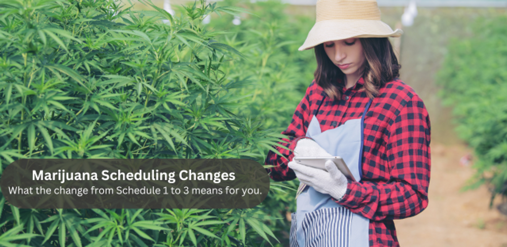 Unveiling the Game-changer: Government's Shift of Marijuana from Schedule 1 to Schedule 3 Status