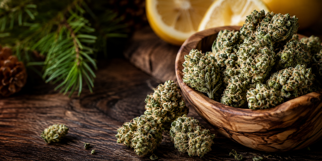Platinum OG CBD Strain Guide: Terpenes, Flavor Profile & Hemp Flower Review