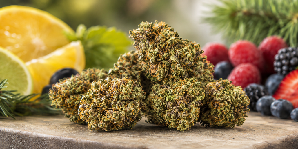 Sour Space Candy CBD Flower: Genetics, Terpenes, Flavor Profile, and How to Evaluate Quality