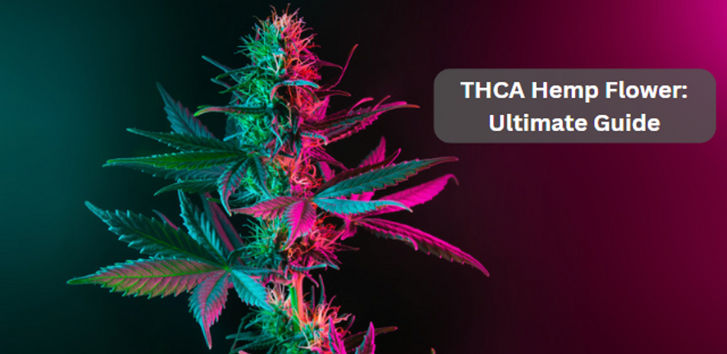 ​ THCA Hemp Flower: Your Ultimate Guide by The Green Nursery