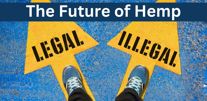 New Hemp Law, One-Year Moratorium, and How Green Nursery Plans to Move Forward
