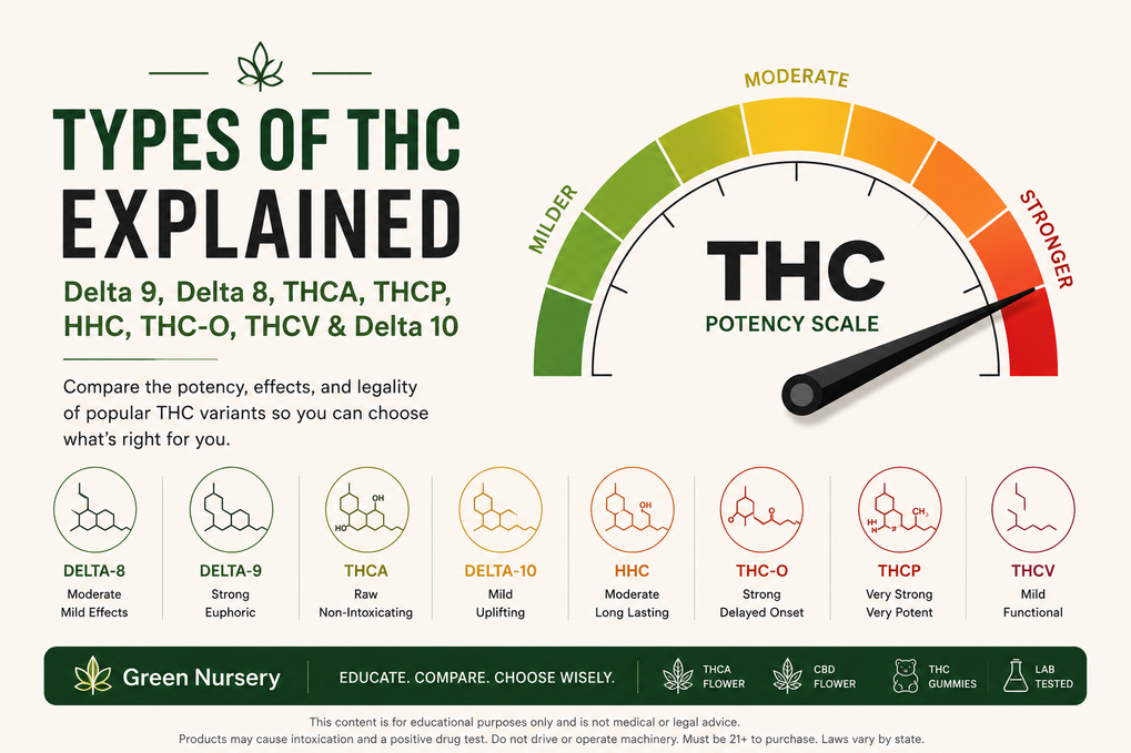 Types of THC Explained: Delta 9, Delta 8, THCA, THCP, HHC, THC-O, THCV & Delta 10