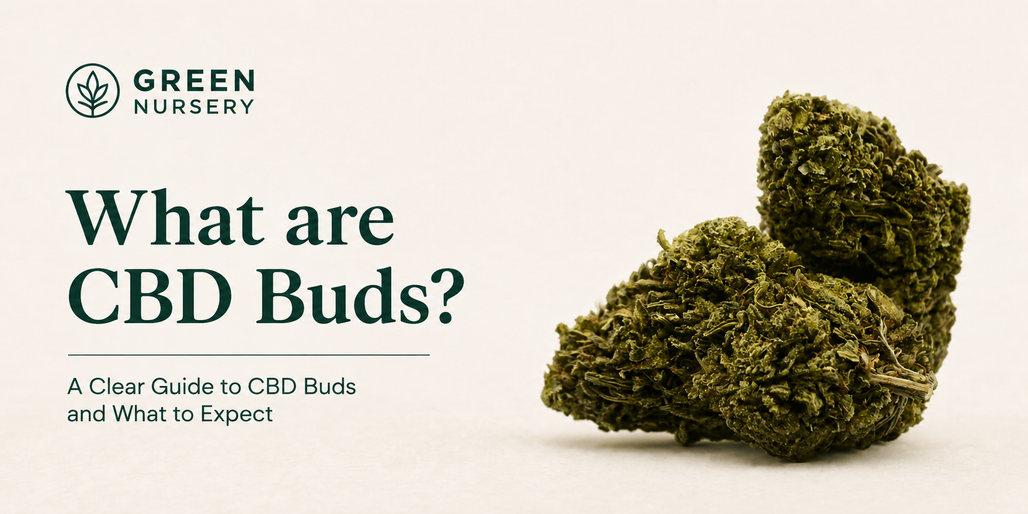 What Are CBD Buds? A Clear Guide to CBD Bud, Hemp Flower, and What to Expect