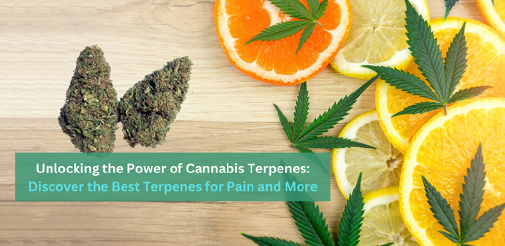 Unlocking the Power of Cannabis Terpenes: Discover the Best Terpenes for Pain and More