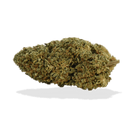Green Nursery Hawaiian Haze CBD 