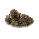 Snowstorm White CBG Flower with frosty trichomes