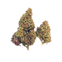 Close-Up of Platinum OG CBD Buds - Dense, Crystal-Coated Hemp Flower