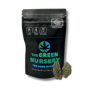 Green Nursery Purple Hindu Kush CBD 