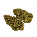 Green Nursery Pineapple Express CBD 