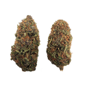 The Green Nursery Guava Kush THCA Flower - Green Nursery THCA Hemp Flower