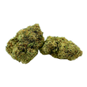 Acapulco Gold Strain THCA Sativa