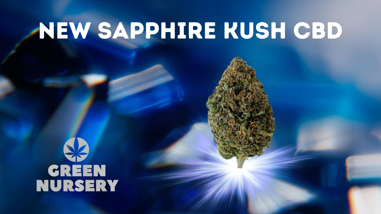 Shop CBD Hemp Flower