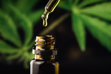 Understanding CBD Strengths | The Green Nursery Understanding CBD Strengths | The Green Nursery