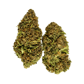Green Nursery Pineapple Express CBD 
